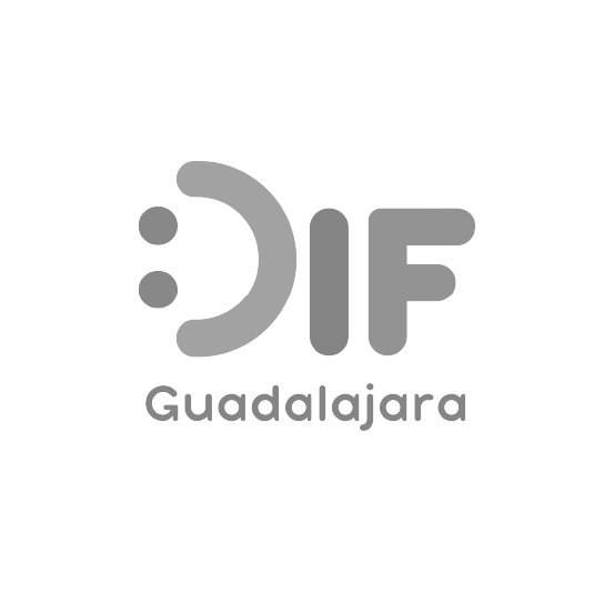 DIG Guadalajara logo